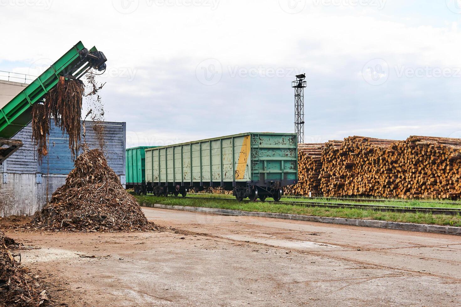 timber yard with stacks of logs, open freight wagons and bark chipper photo