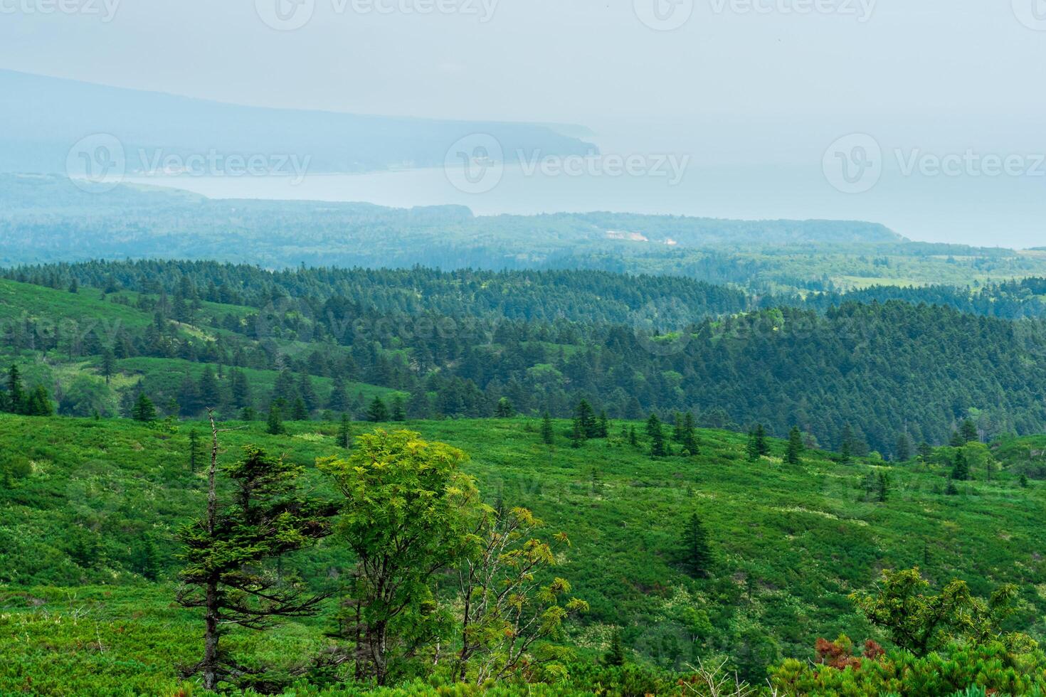 typical landscape of the southern Kuriles, view of Kunashir Island from the slope of Golovnin volcano, slope of Mendeleyev volcano is visible in the distance in the haze photo