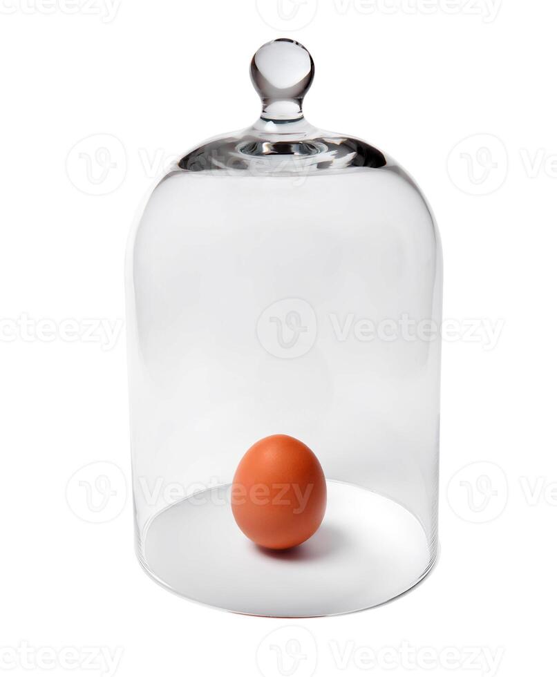 egg feels protected under a glass cover, isolated on a white background photo