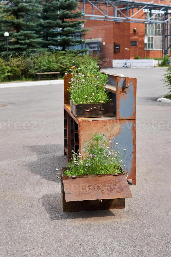 landscaping in rusty iron structures on the territory of the factory turned into a public space photo