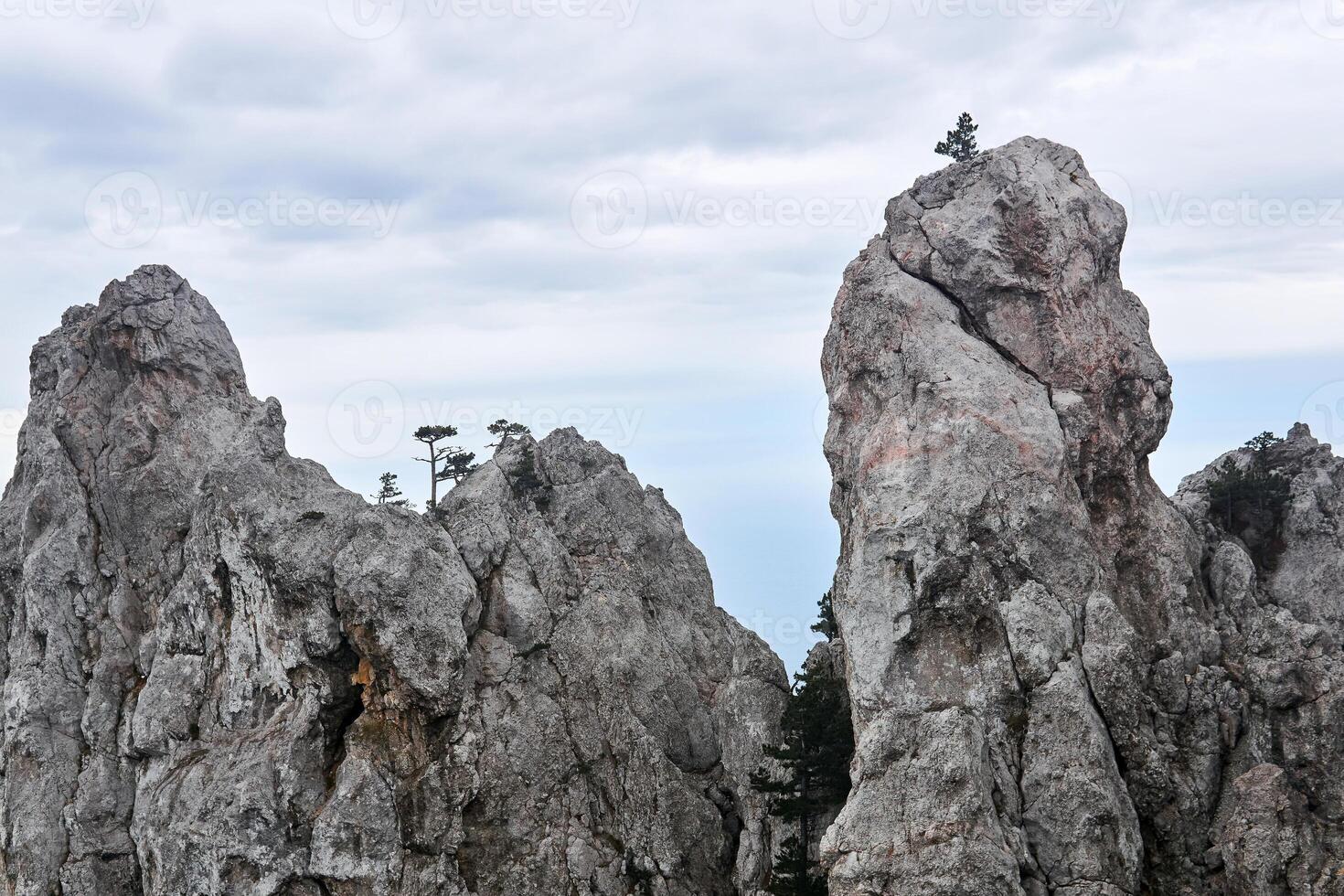 sheer cliffs with sparse trees over the winter sky photo