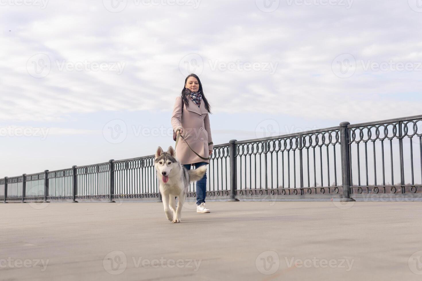 young woman with a husky dog walks along the embankment in an autumn day photo