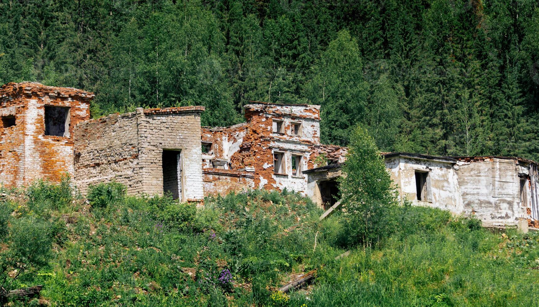 restos de un antiguo ladrillo industrial edificio entre el bosque en el montañas foto