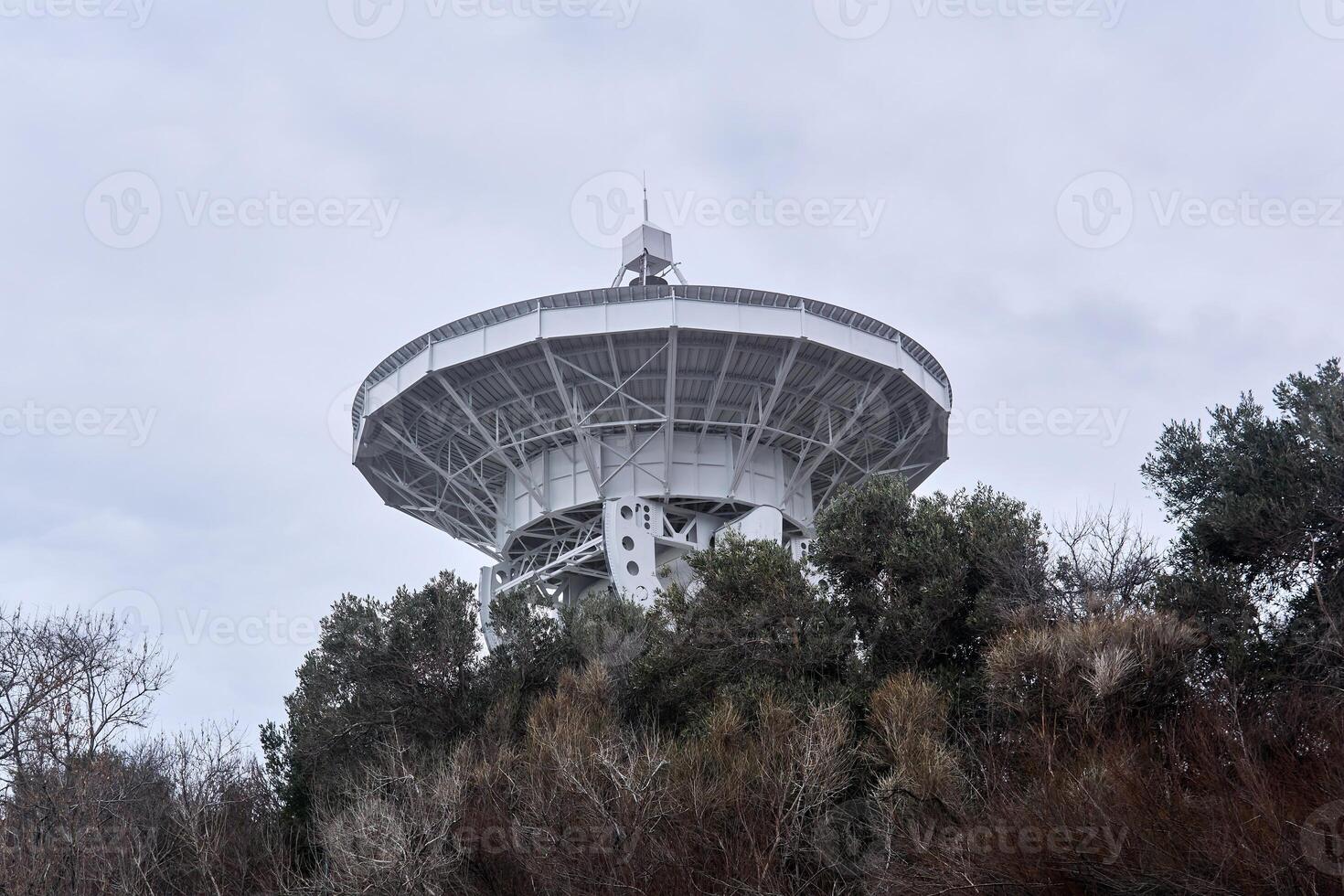 espejo de el astronómico radio telescopio, apuntado a el cielo, es visible desde el arboles foto