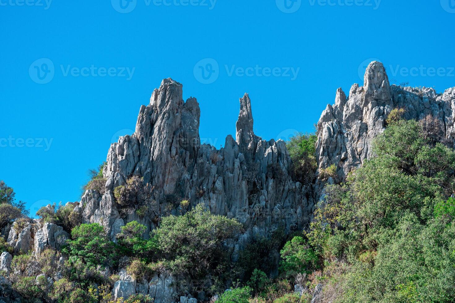 tropical montaña paisaje - tupido vegetación entre blanco rocas foto