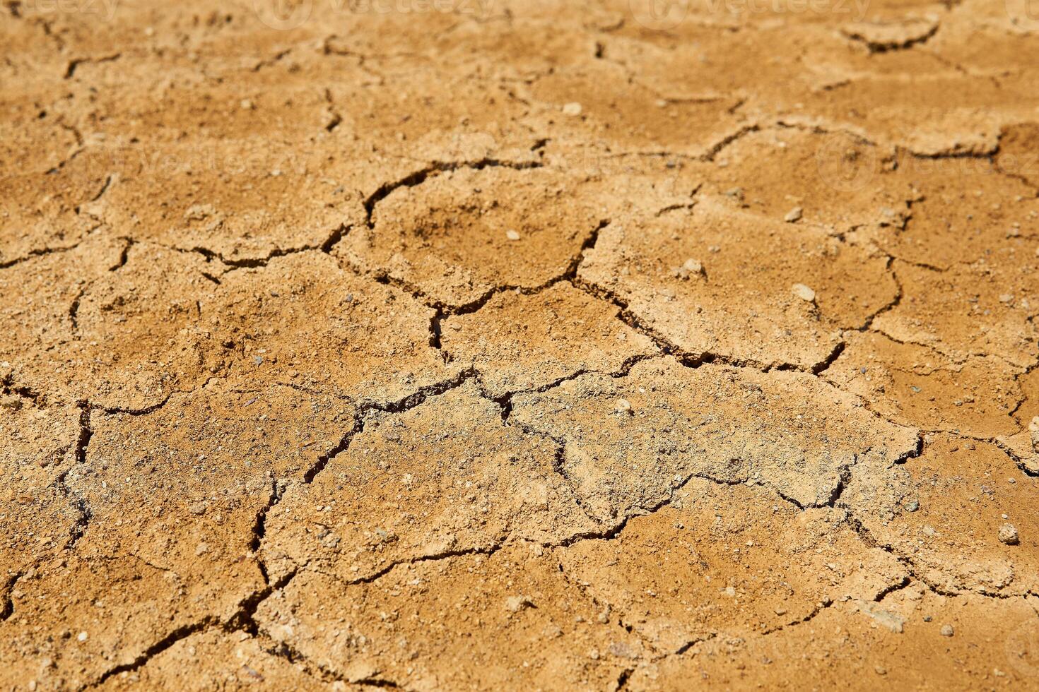 landscape - dry earth with mudcracks photo