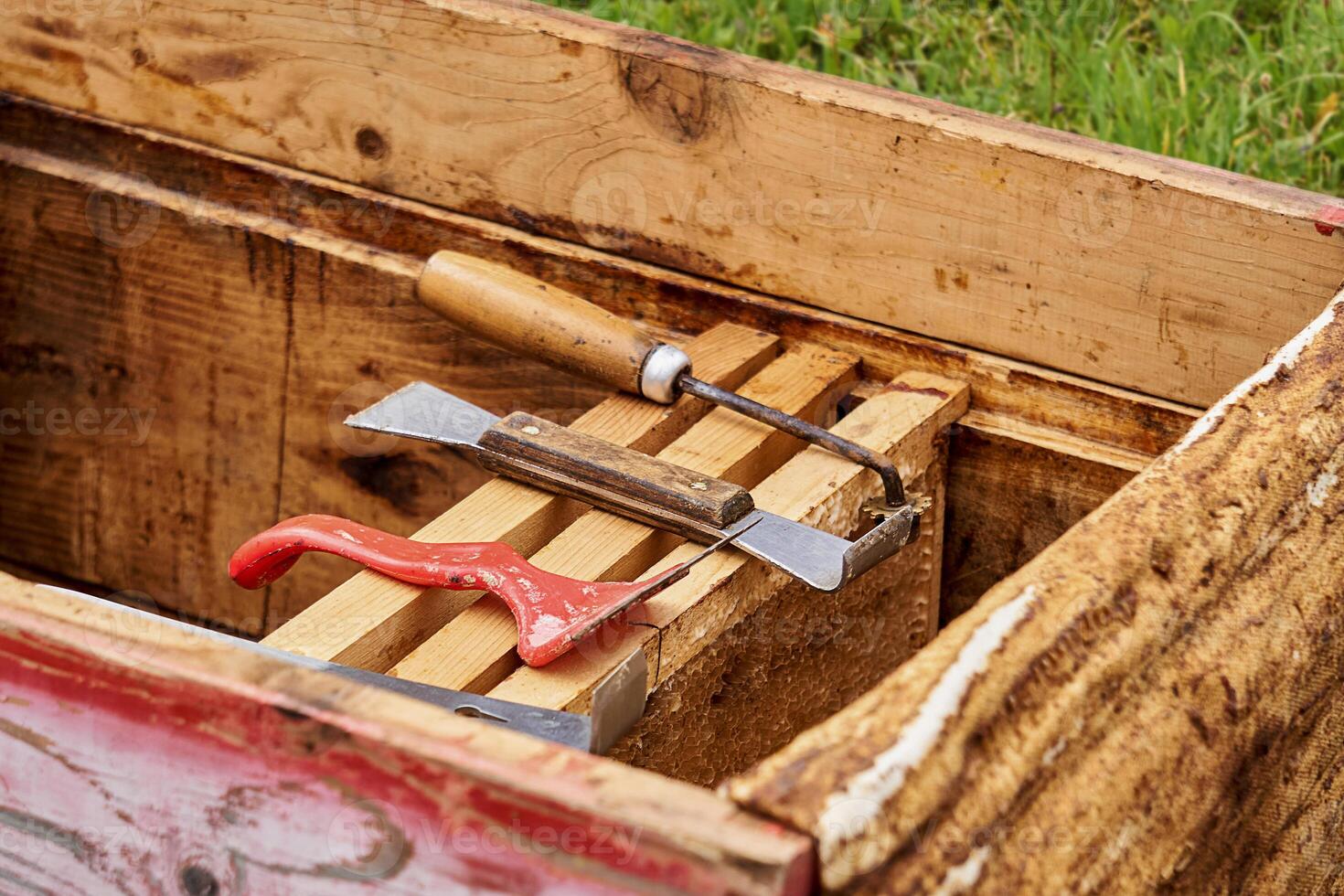 beekeeper tools are laid out on honeycomb frames in an open hive photo