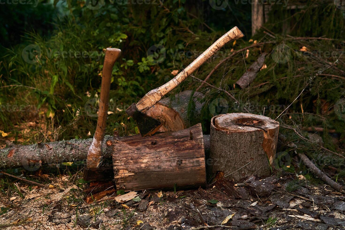 dos antiguo madera el cortar hachas atascado en un árbol tocón foto