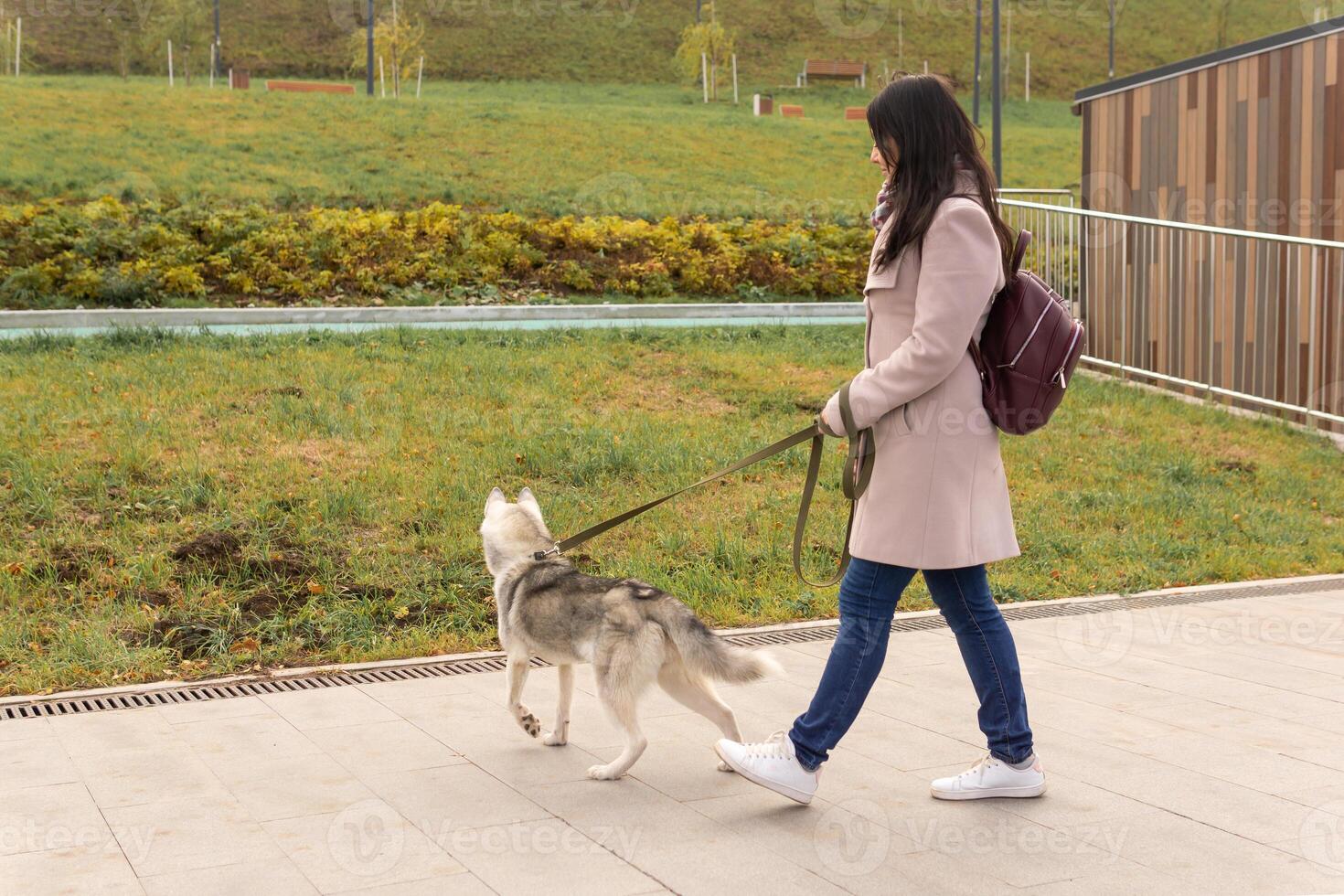 woman with dog walking in the autumn park photo