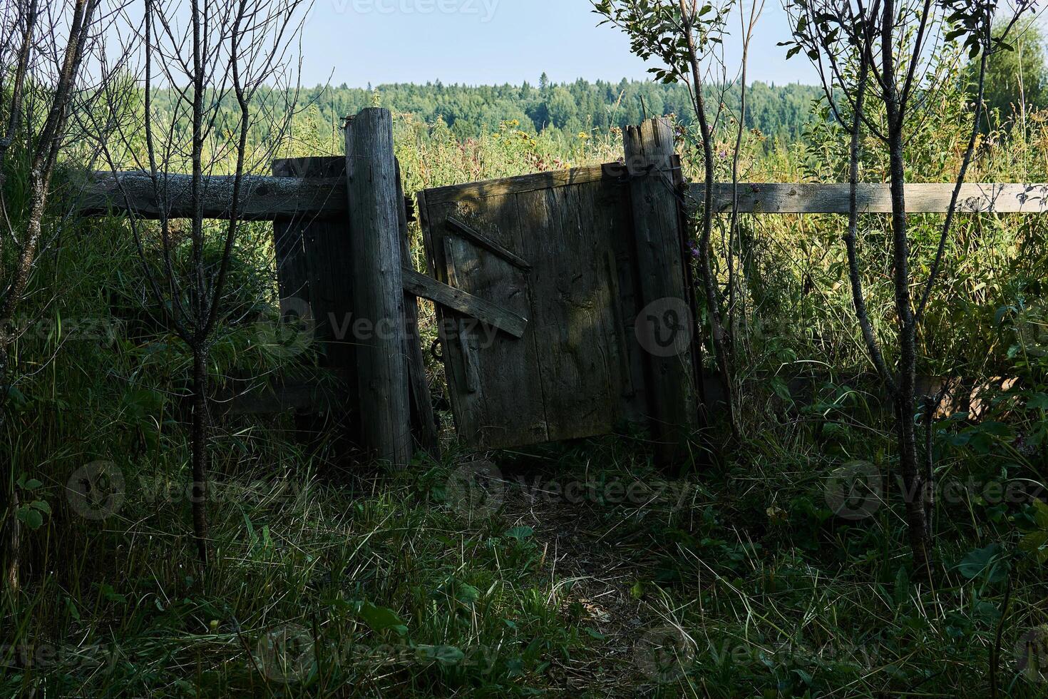 rickety wicket gate in an abandoned village fence photo