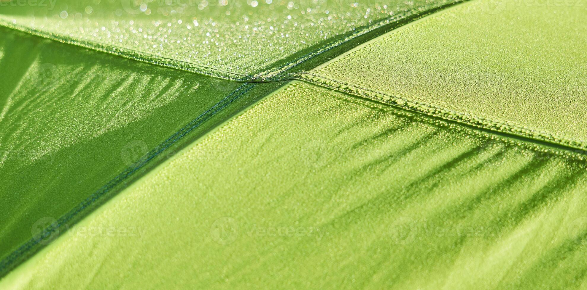 fragment of the dome of a hiking tent, covered with dew in the early morning photo