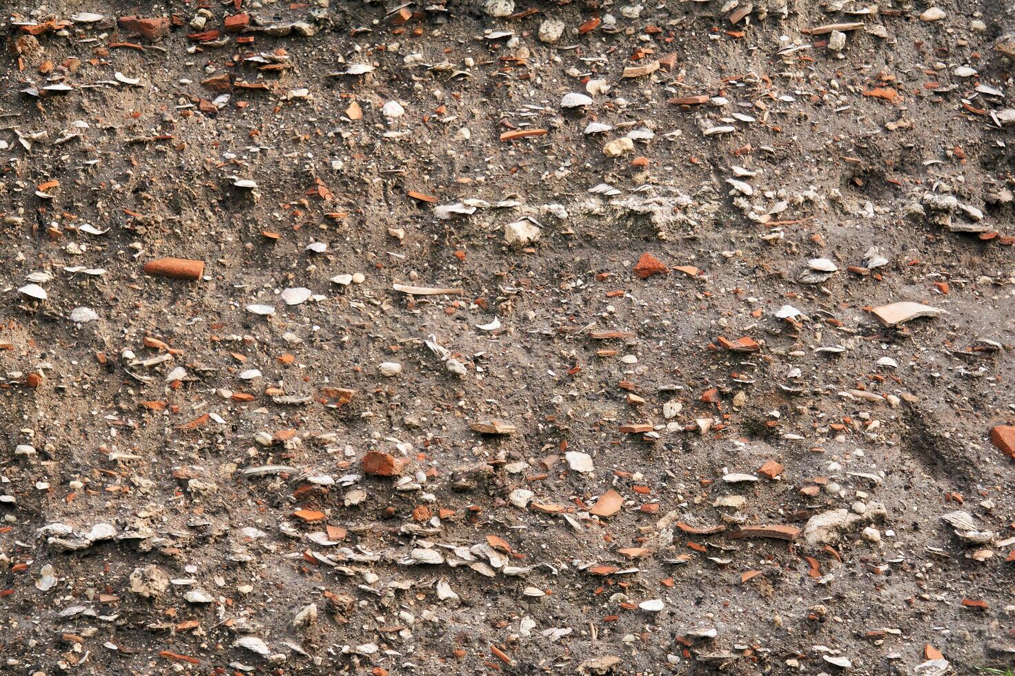 occupation earth - layers of ground with fragments of ancient pottery and shells under the sod layer photo