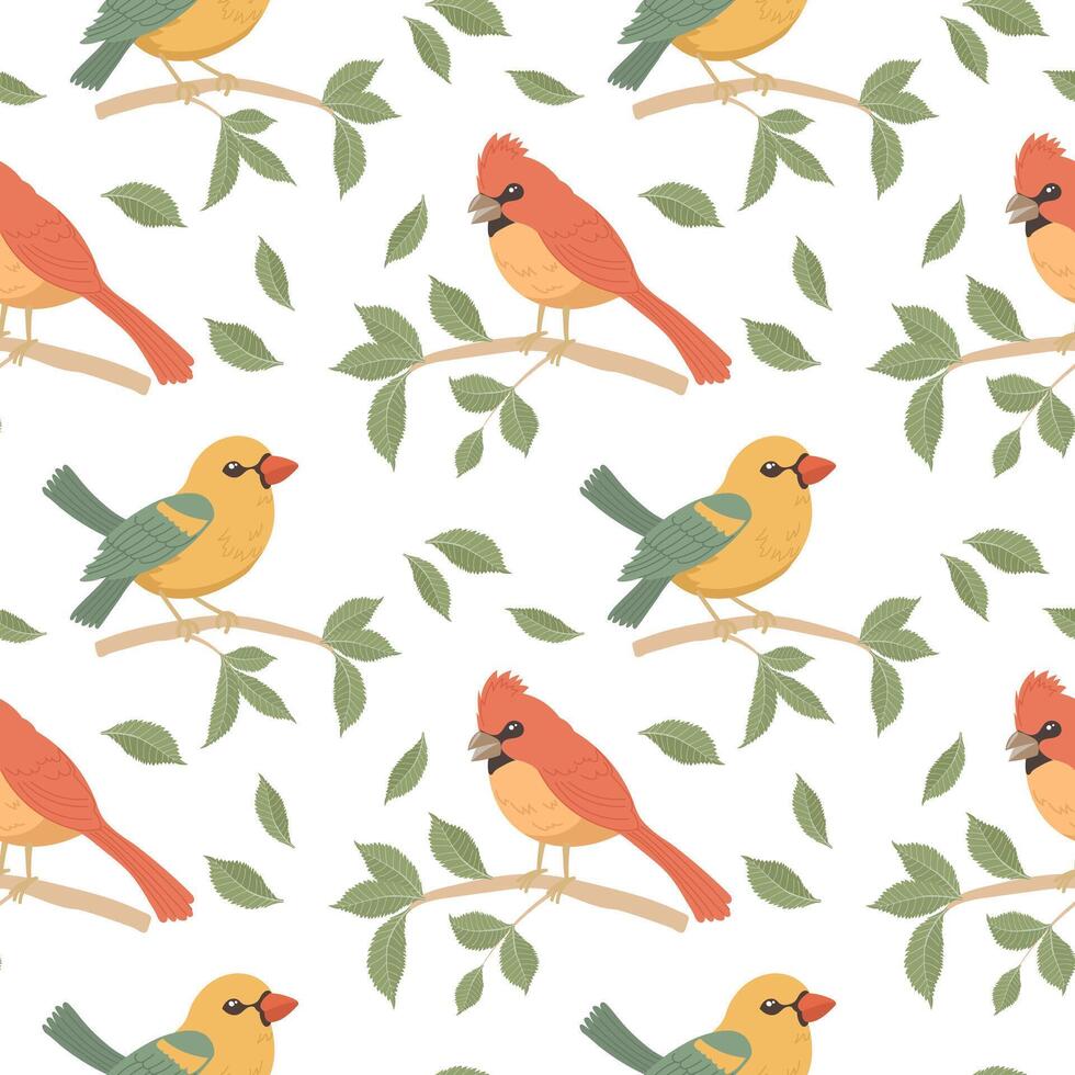 Seamless pattern, cute bright birds on tree branches on a white background. Spring illustration in flat cartoon style. Vector