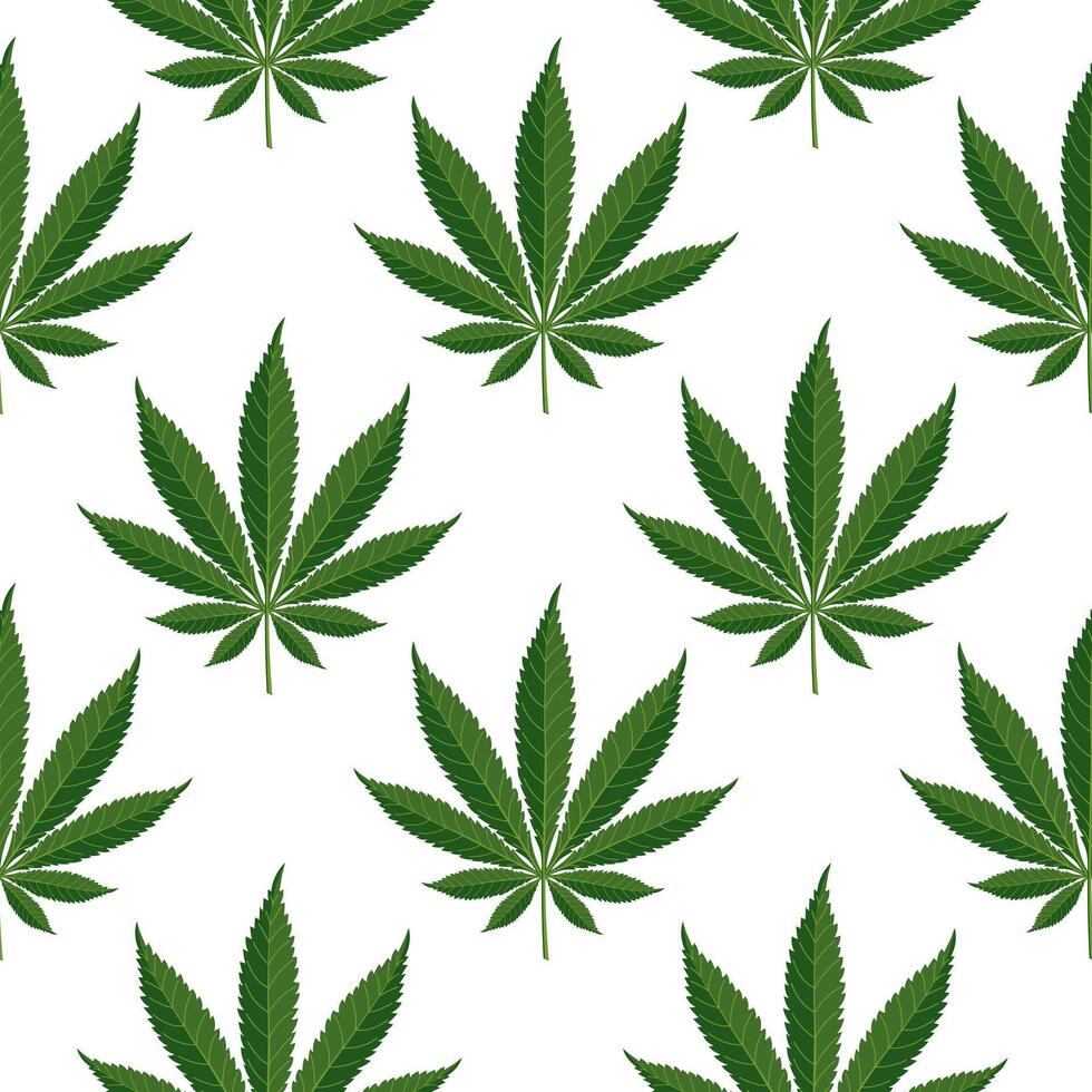 Seamless pattern of hemp leaves. Background of cannabis leaves on a white background. Print, vector