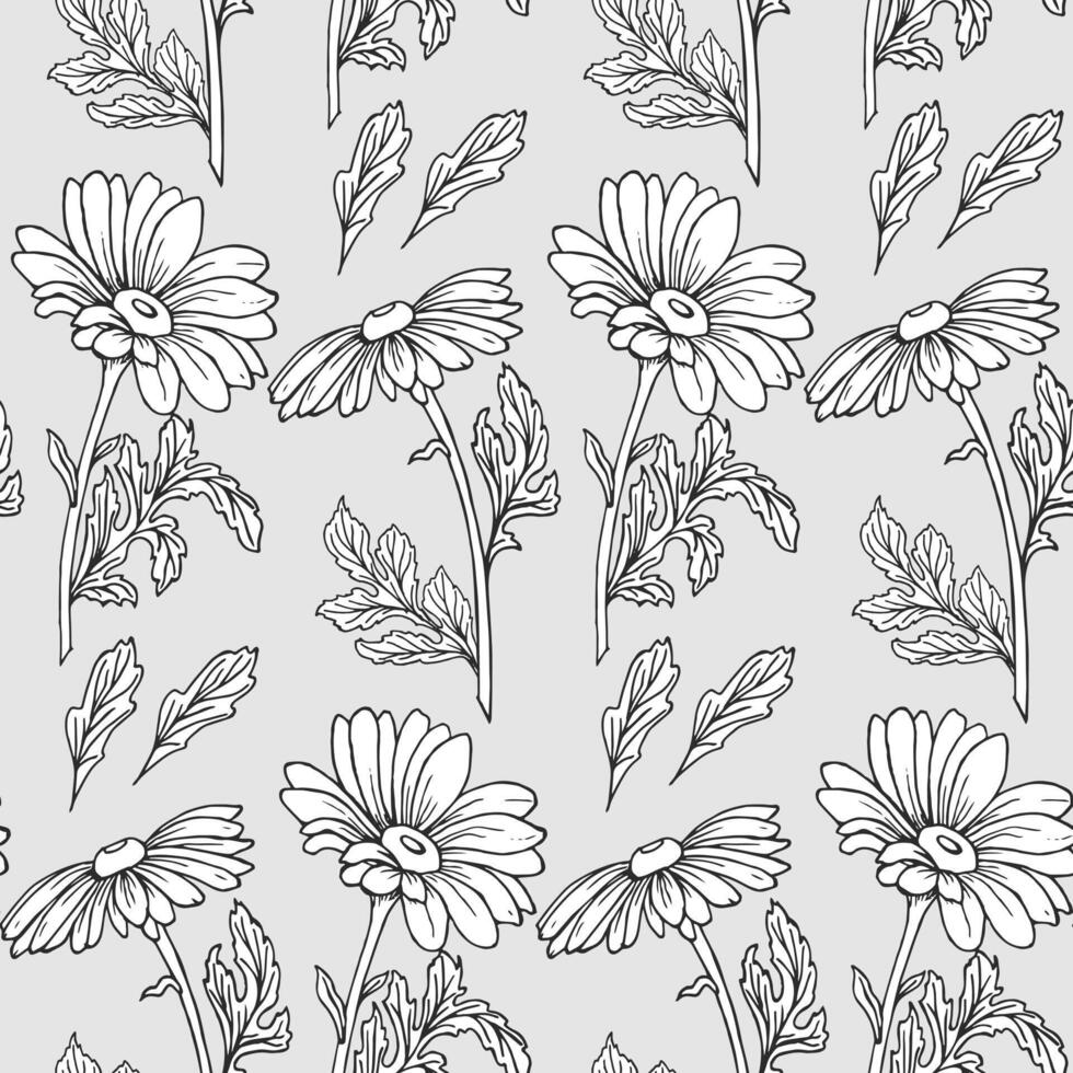 Seamless pattern, hand drawn outline echinacea flowers on a gray background. Background, print, textile, wallpaper, vector