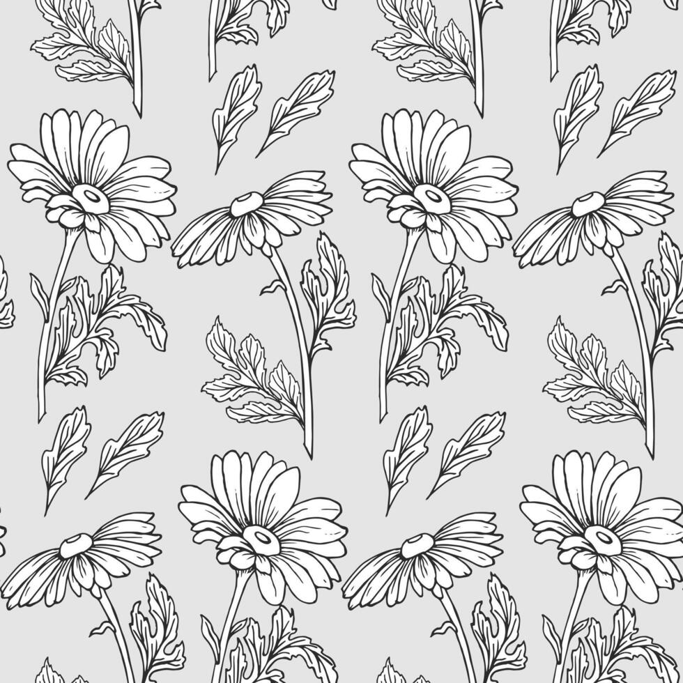 sin costura patrón, mano dibujado contorno equinácea flores en un gris antecedentes. fondo, imprimir, textil, fondo de pantalla, vector