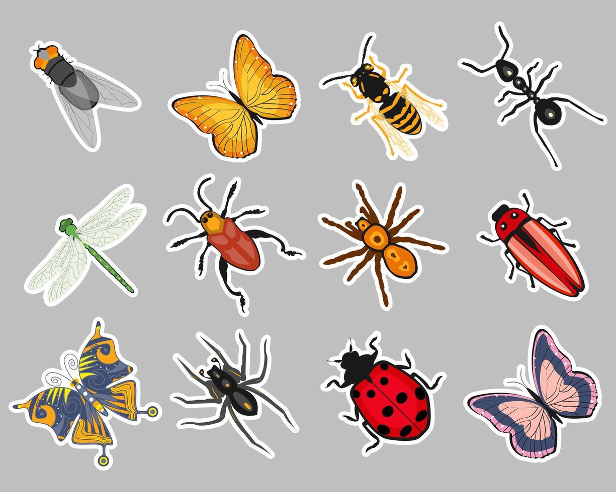 Insect sticker set, butterfly, ant, dragonfly, wasp, ladybug, beetle, spider. Zoological icons, templates, decor elements, vector