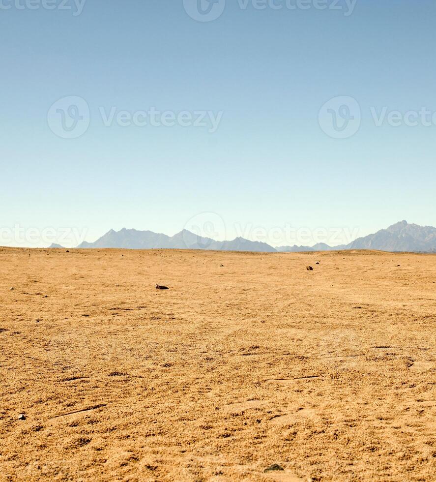 el hermosa egipcio sinaí península con amarillo arena, desierto, mesetas y alto y magnífico montañas, cuales es situado en el fronteras con Palestina y gaza, cuales contiene el suez canal foto