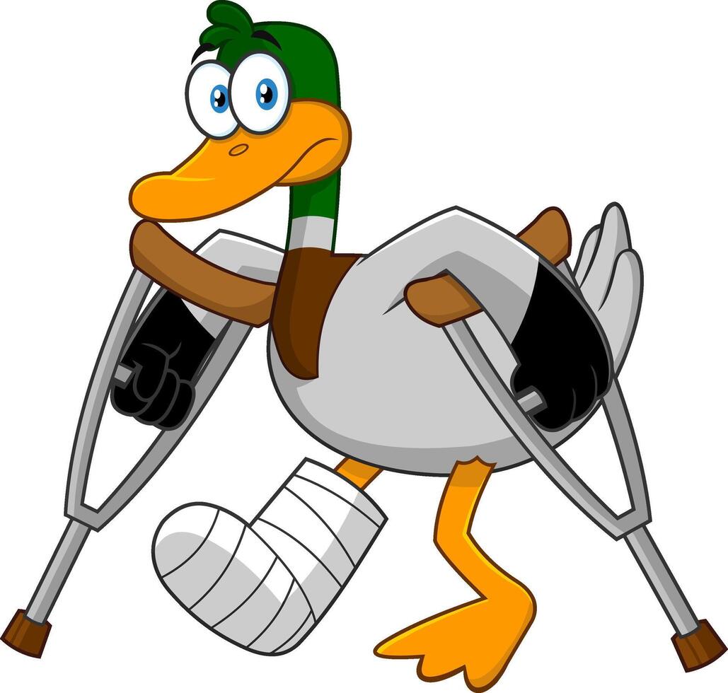 Sad Duck Cartoon Character With Crutches And Plastered Leg. Vector Illustration Isolated On White Background