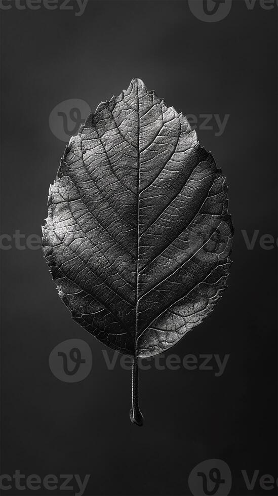 ai generado medianoche hoja elegancia en negro foto