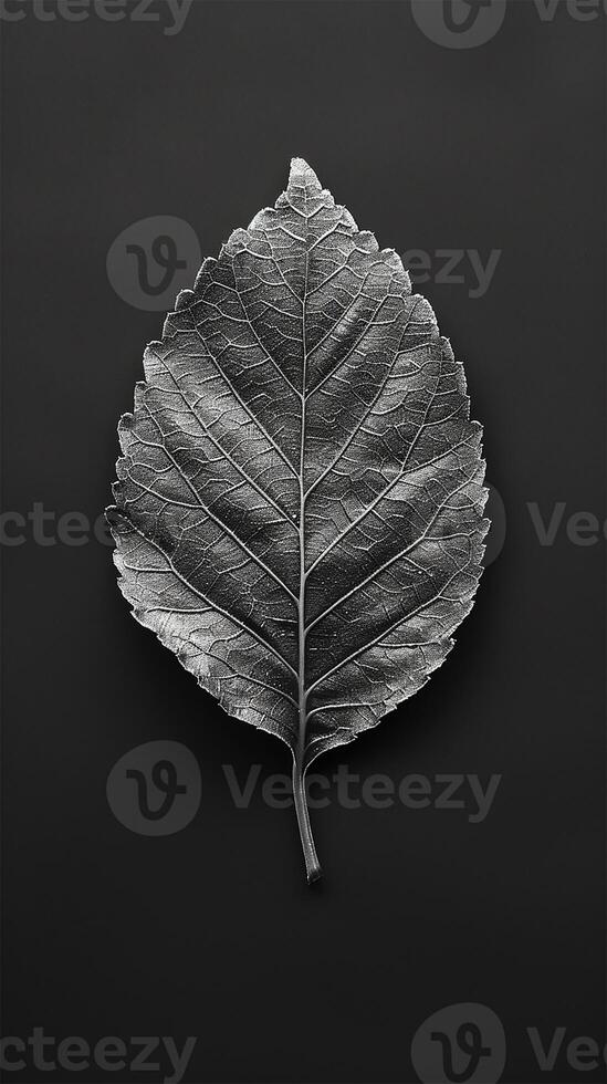 AI generated Midnight Leaf Elegance in Black photo