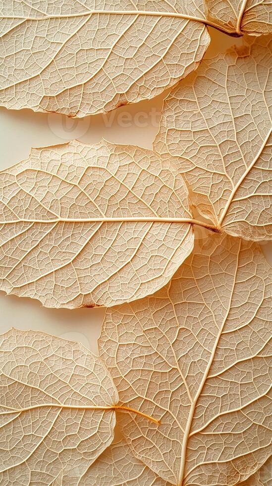 AI generated Leaf Skeleton Whispers in Dried Fibers photo