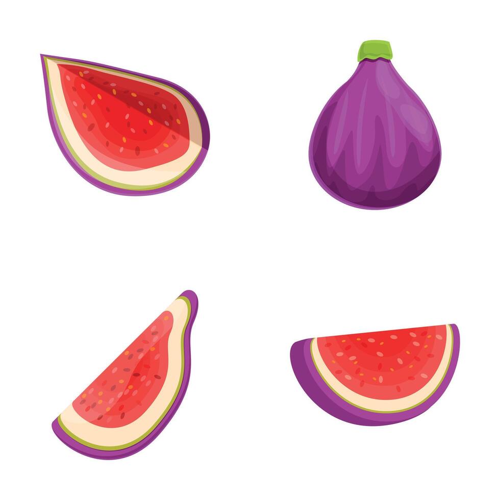 Fig icons set cartoon vector. Ripe summer tropical fruit vector