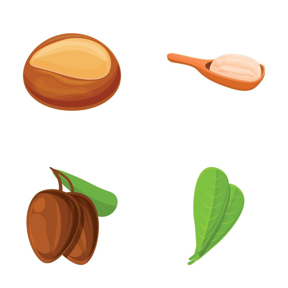 Shea nut icons set cartoon vector. Shea nut and leaf with liquid extract vector