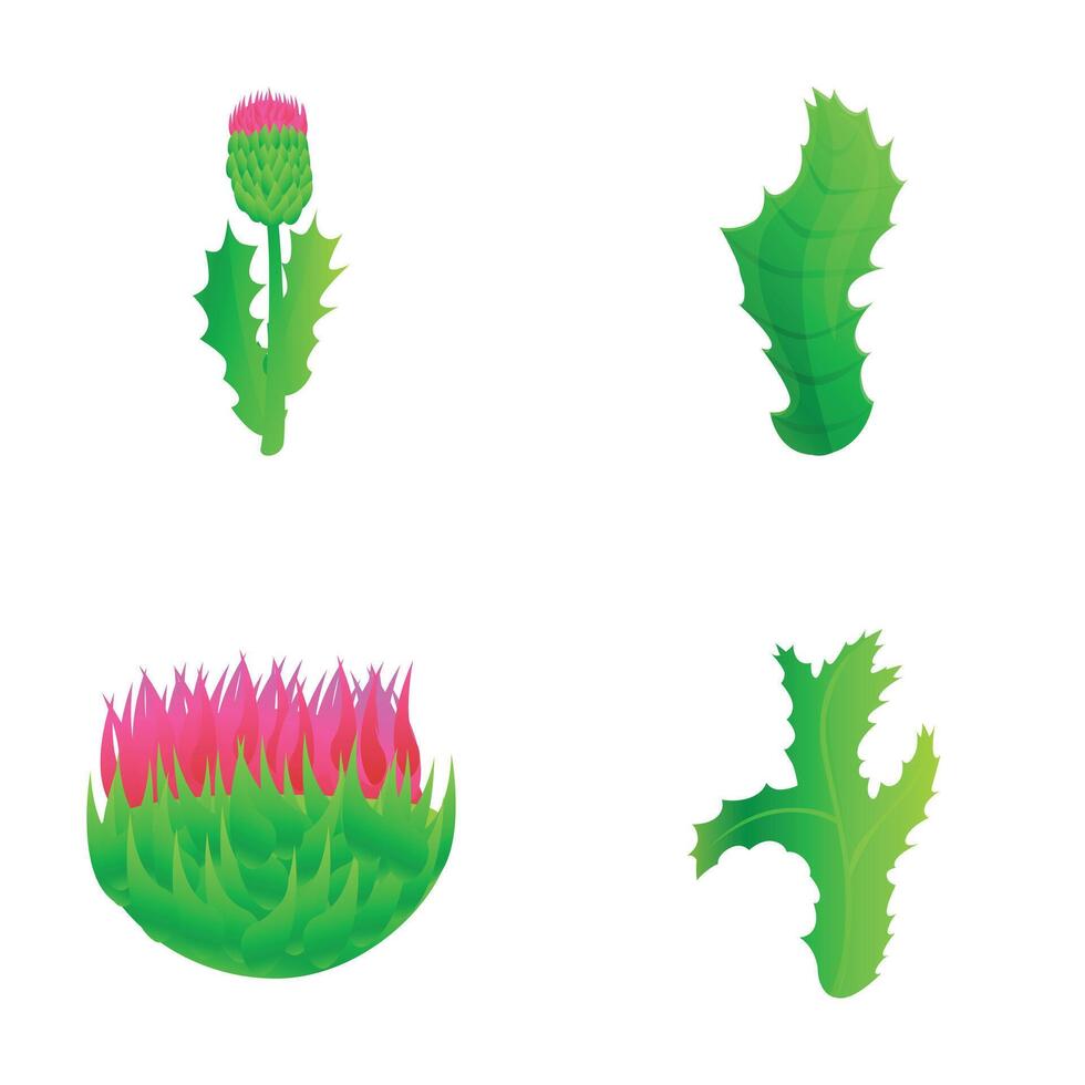 Thistle icons set cartoon vector. Purple flowering thistle with leaf vector
