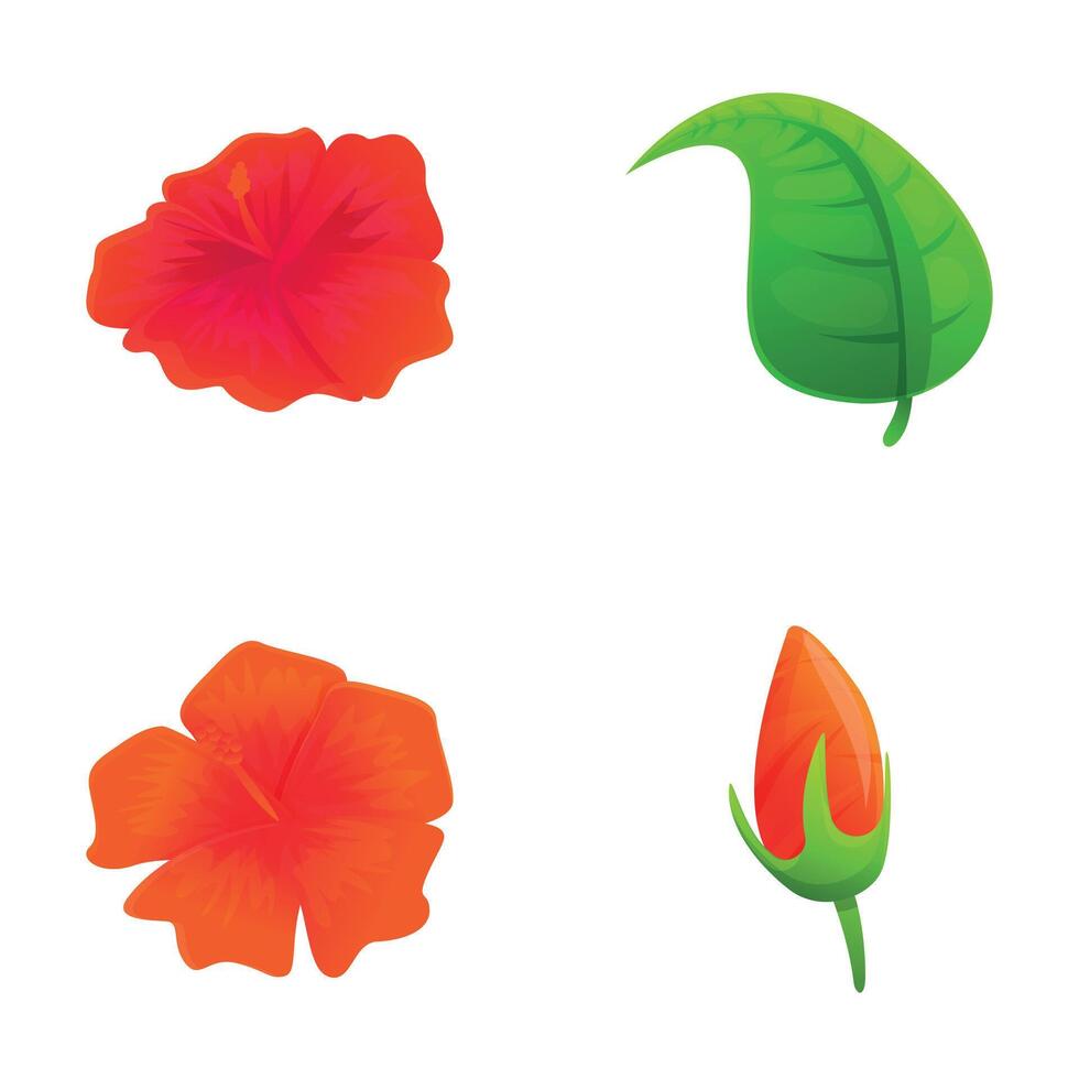 Hibiscus flower icons set cartoon vector. Blooming red hibiscus with leaf vector