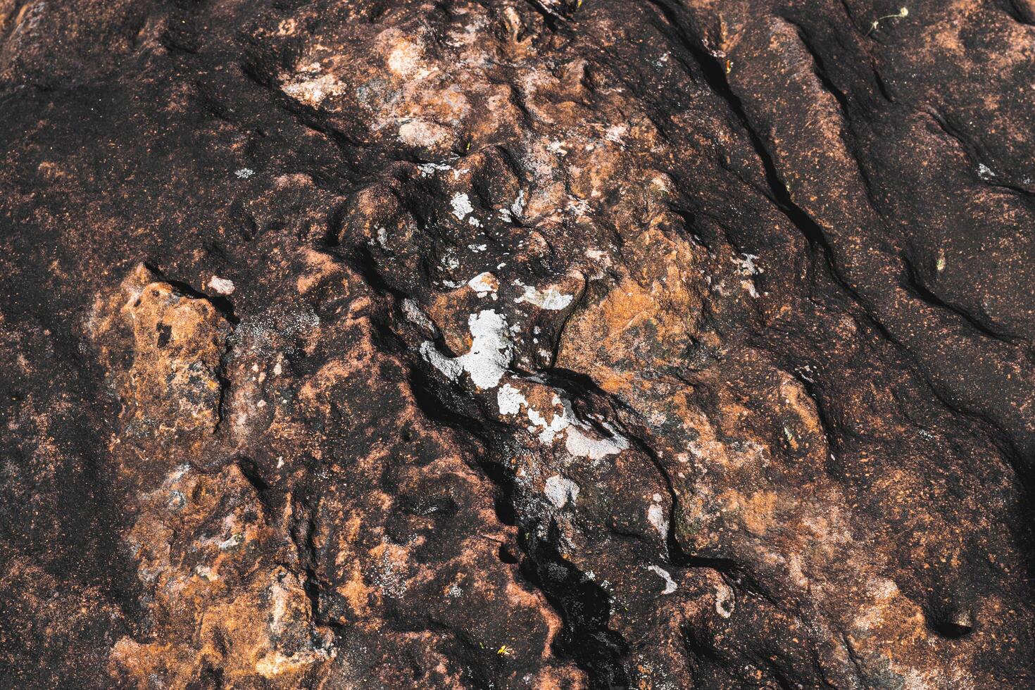 Brown rock texture in top view serves as a unique and captivating.  Nature from top of hill. photo