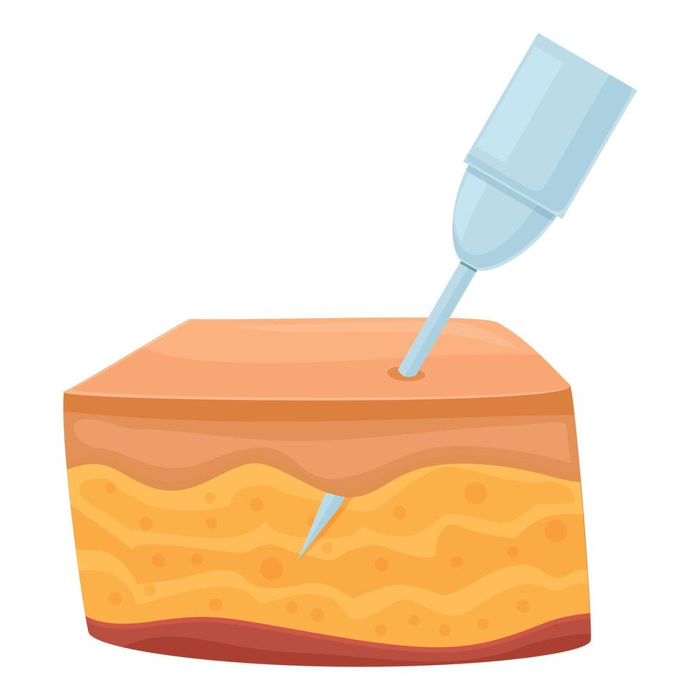 Women belly procedure icon cartoon vector. Slim care vector