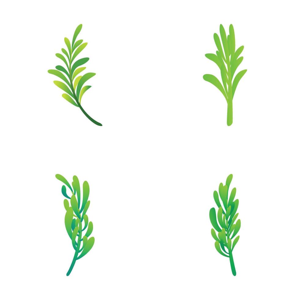 Rosemary plant icons set cartoon vector. Green leaf and branch of rosemary vector