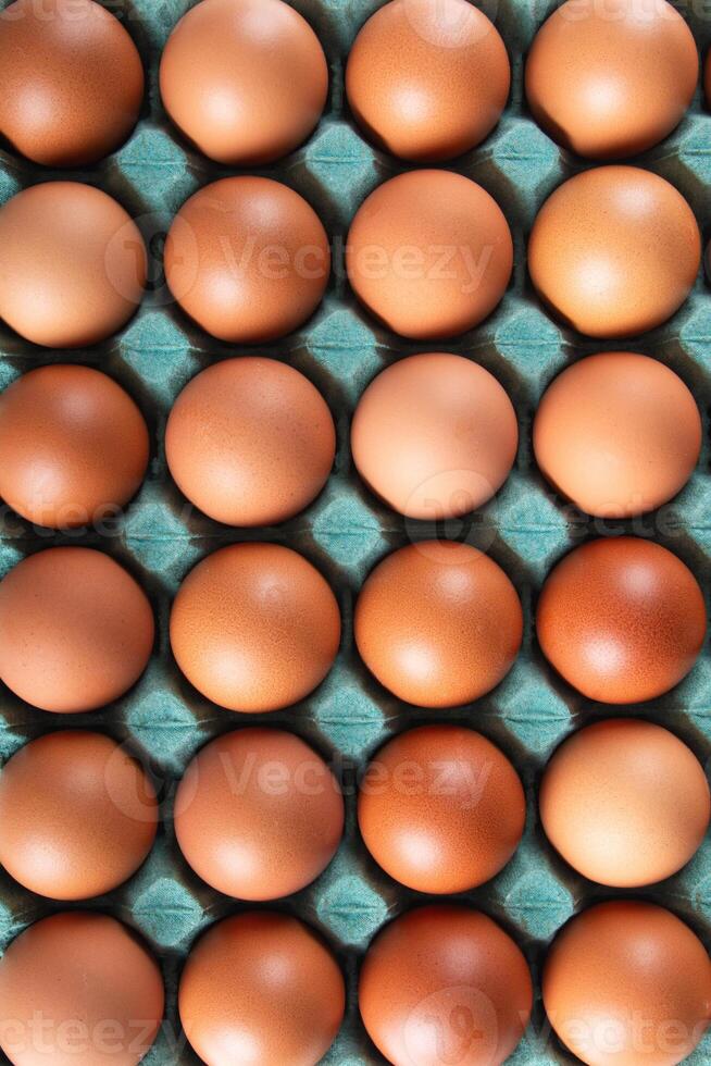 Brown egg carton close up photo