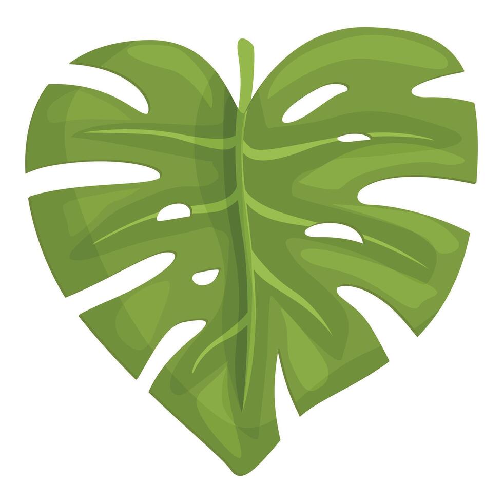 Foliage fashion leaf icon cartoon vector. Monstera exotic vector