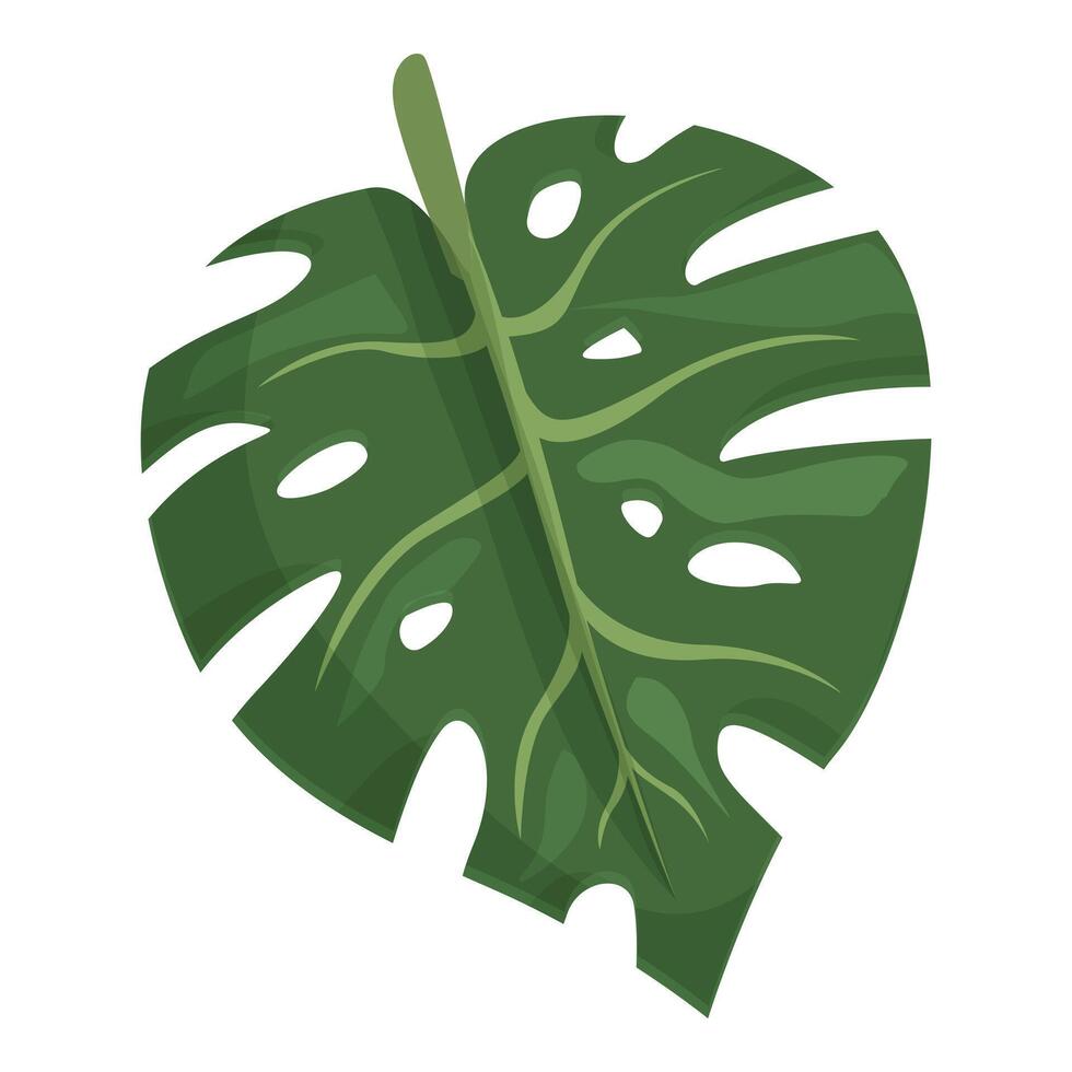 verde monstera icono dibujos animados vector. palma árbol vector