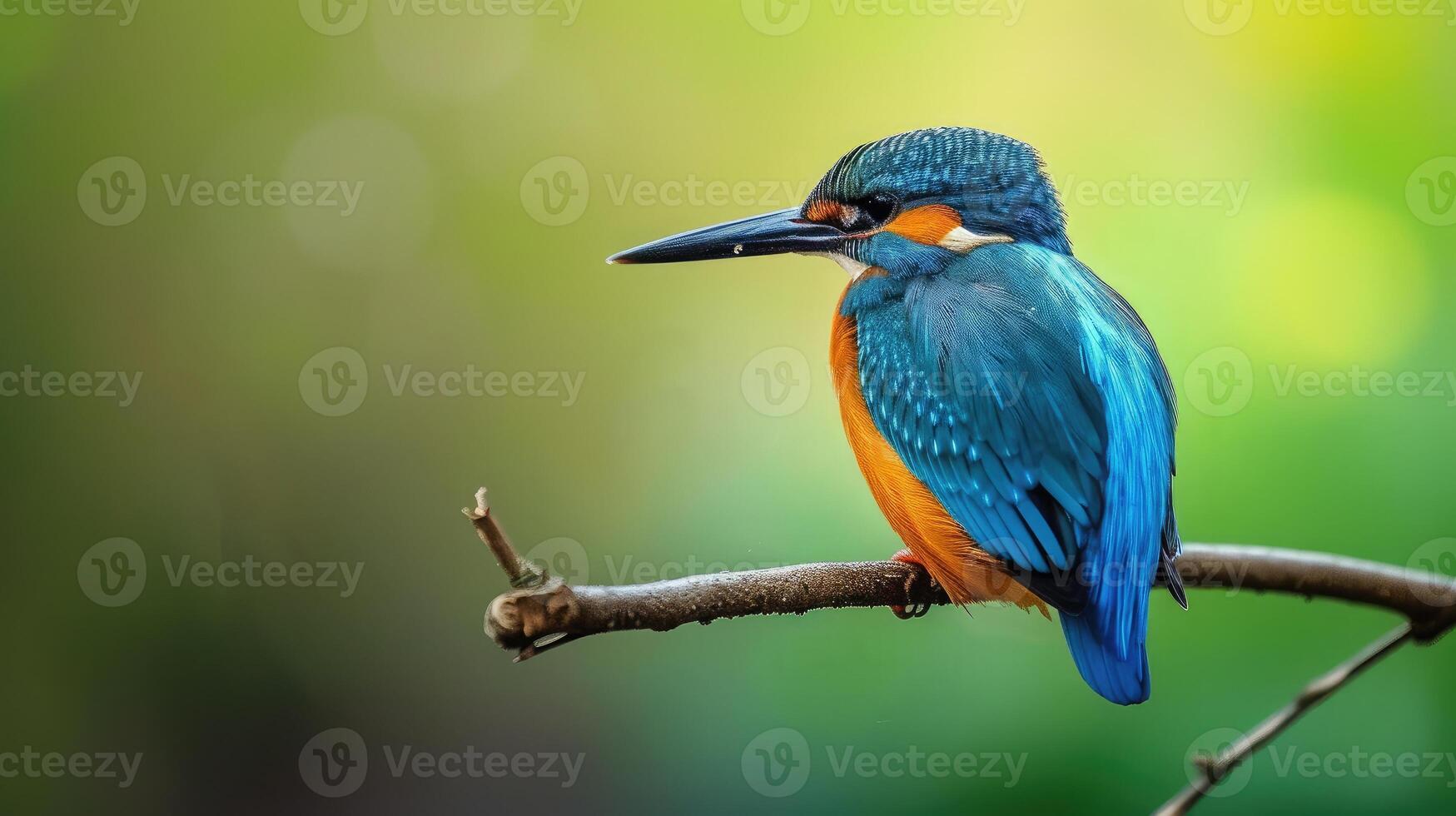 AI generated Adorable colorful bright kingfisher with blue feathers sitting on thin branch against green background in nature photo