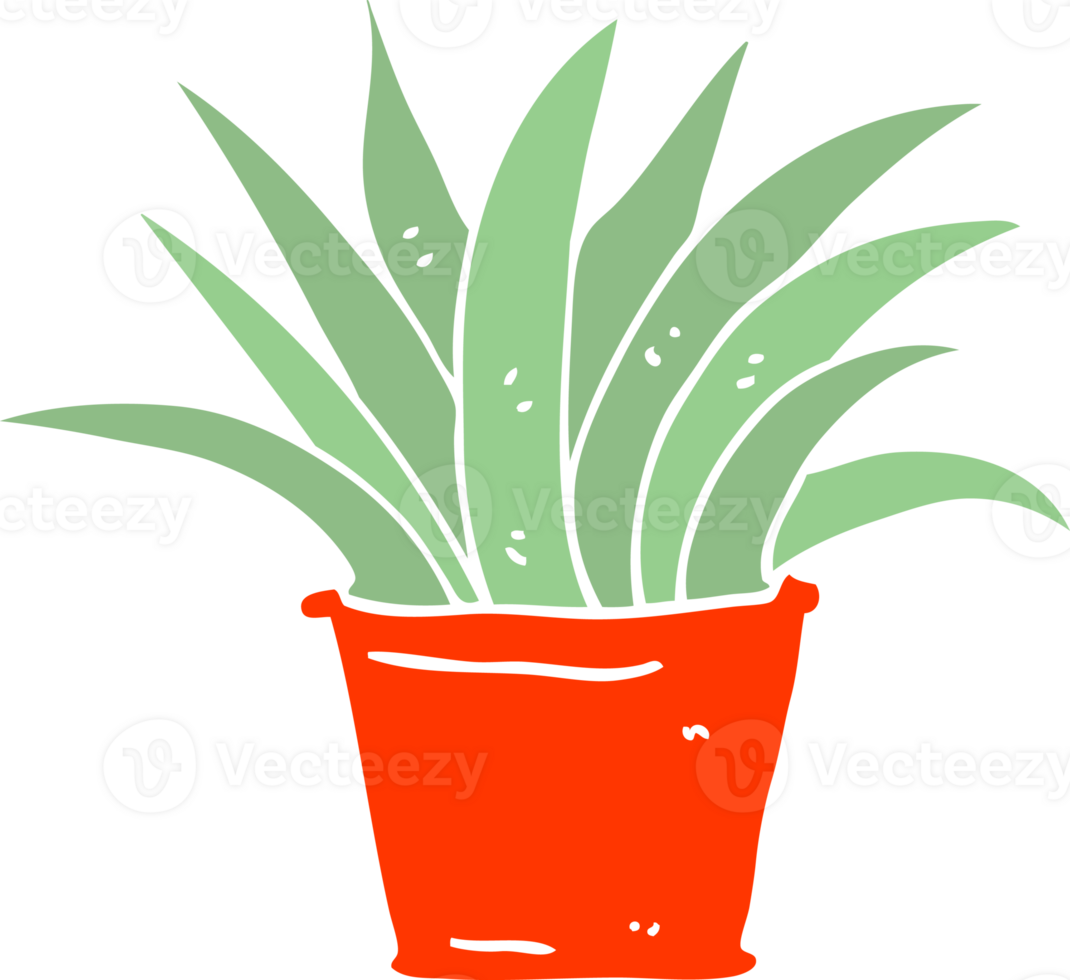 flat color illustration cartoon house plant png