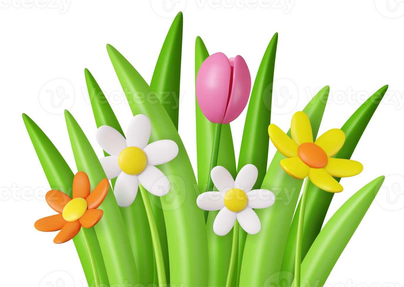 3d realistic daisies, grass and leaves png
