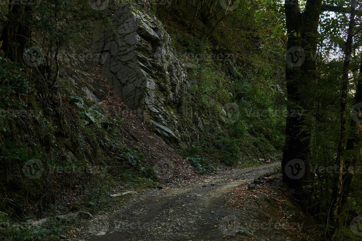 dirt road on a steep slope in a wooded mountainous area photo