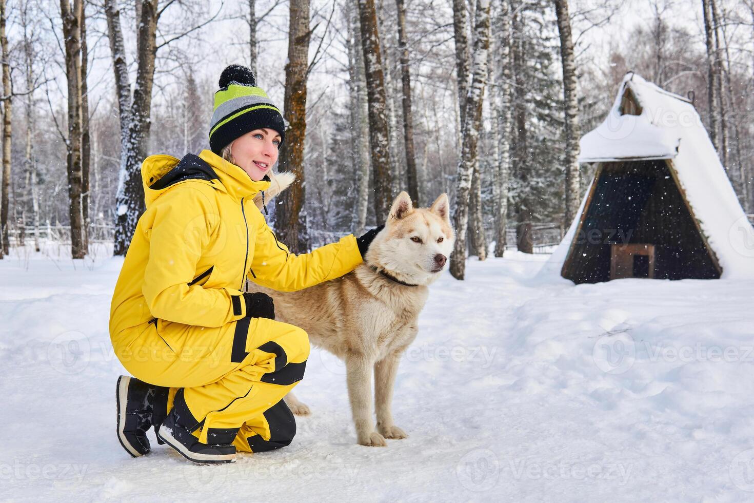 woman stroking a husky dog in the winter forest photo