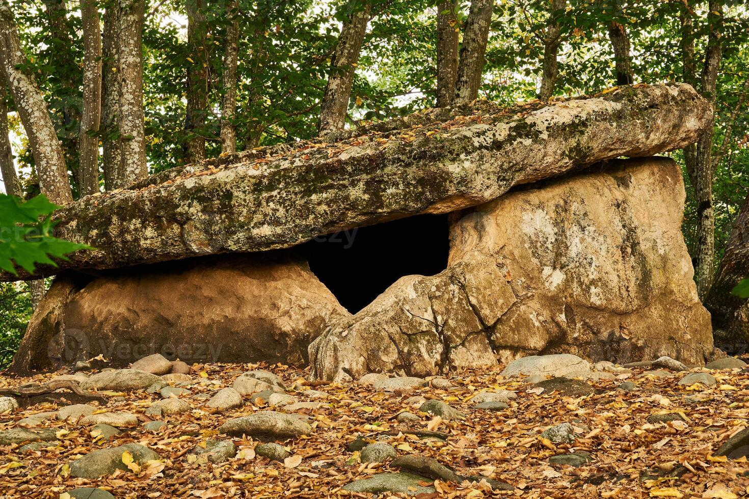 ancient megalith dolmen among trees in an autumn grove photo