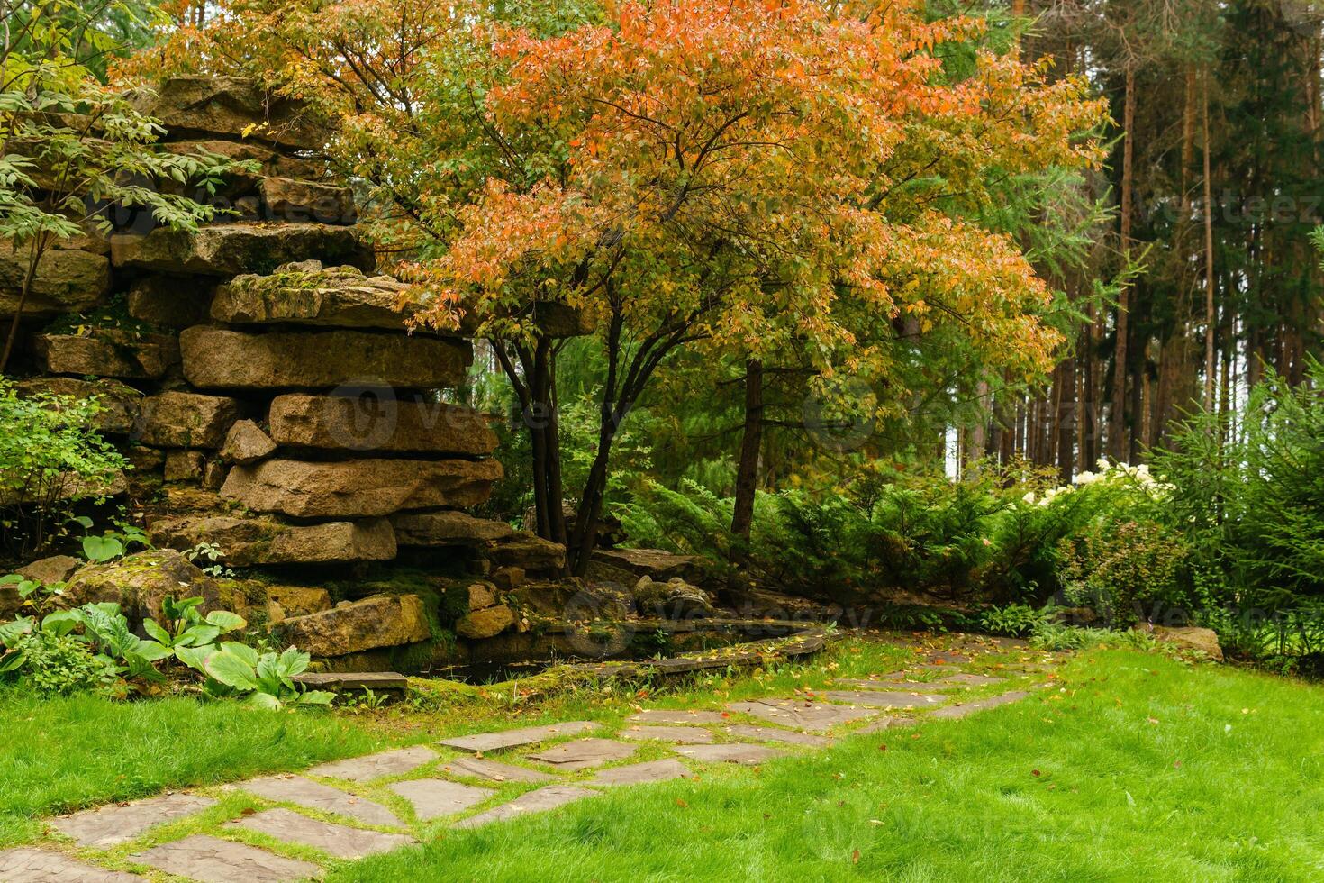 lawn among decorative bushes with a path and artificial rock made of stone slabs photo