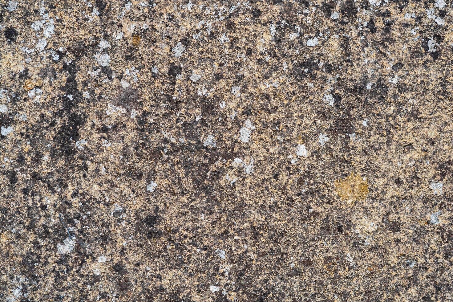 background, texture - a wall of even stone blocks, covered with lichen from old age photo