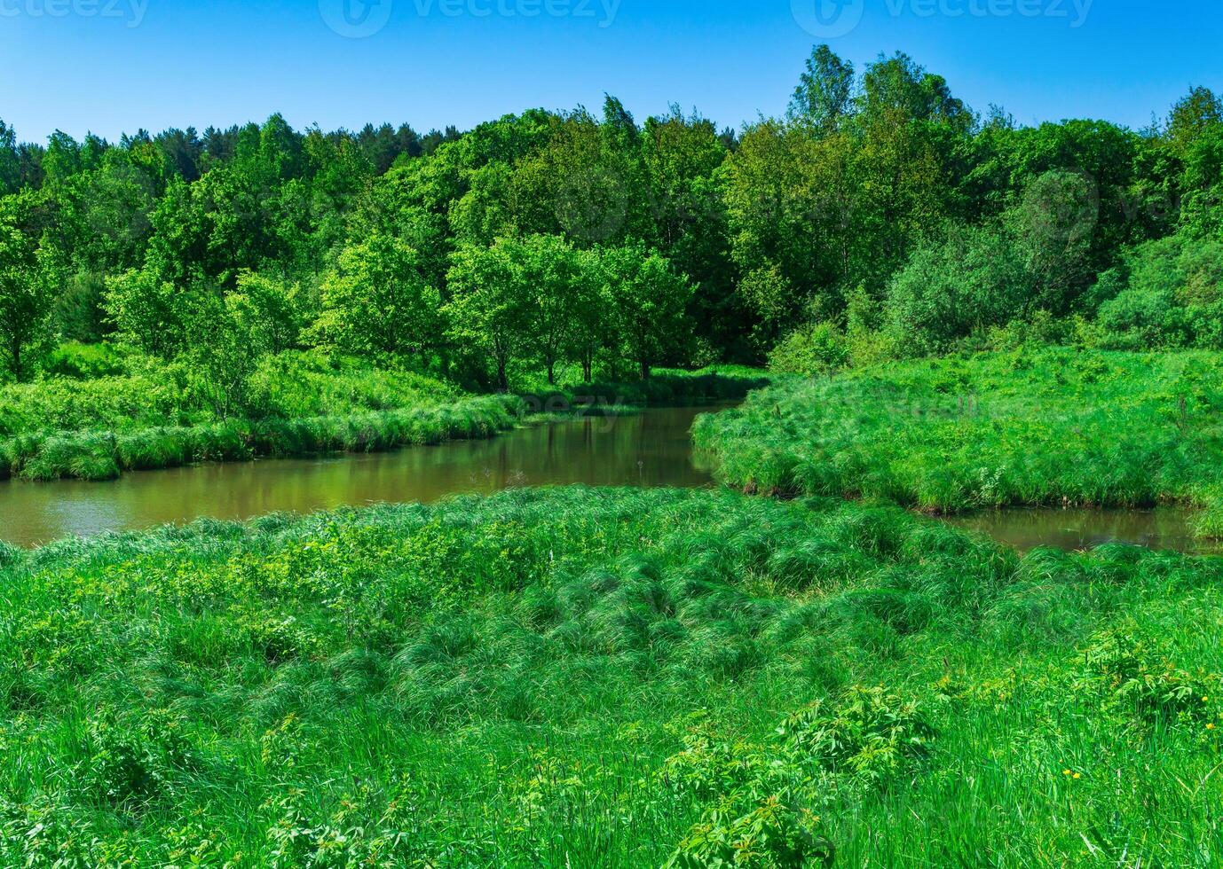 small forest river between banks with fen-meadows photo