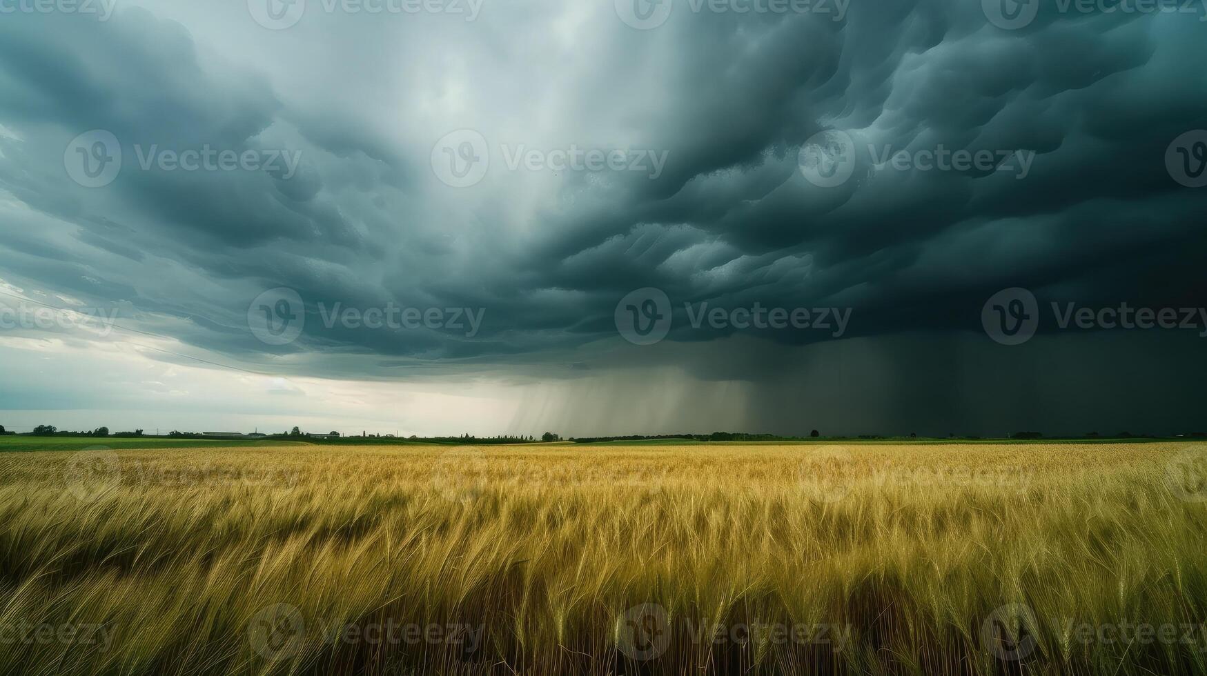 AI generated movement of clouds over an agricultural field with wheat. A storm and rain gray cloud floats across the sky with a visible rain band. Heavy rain in the village in summer photo