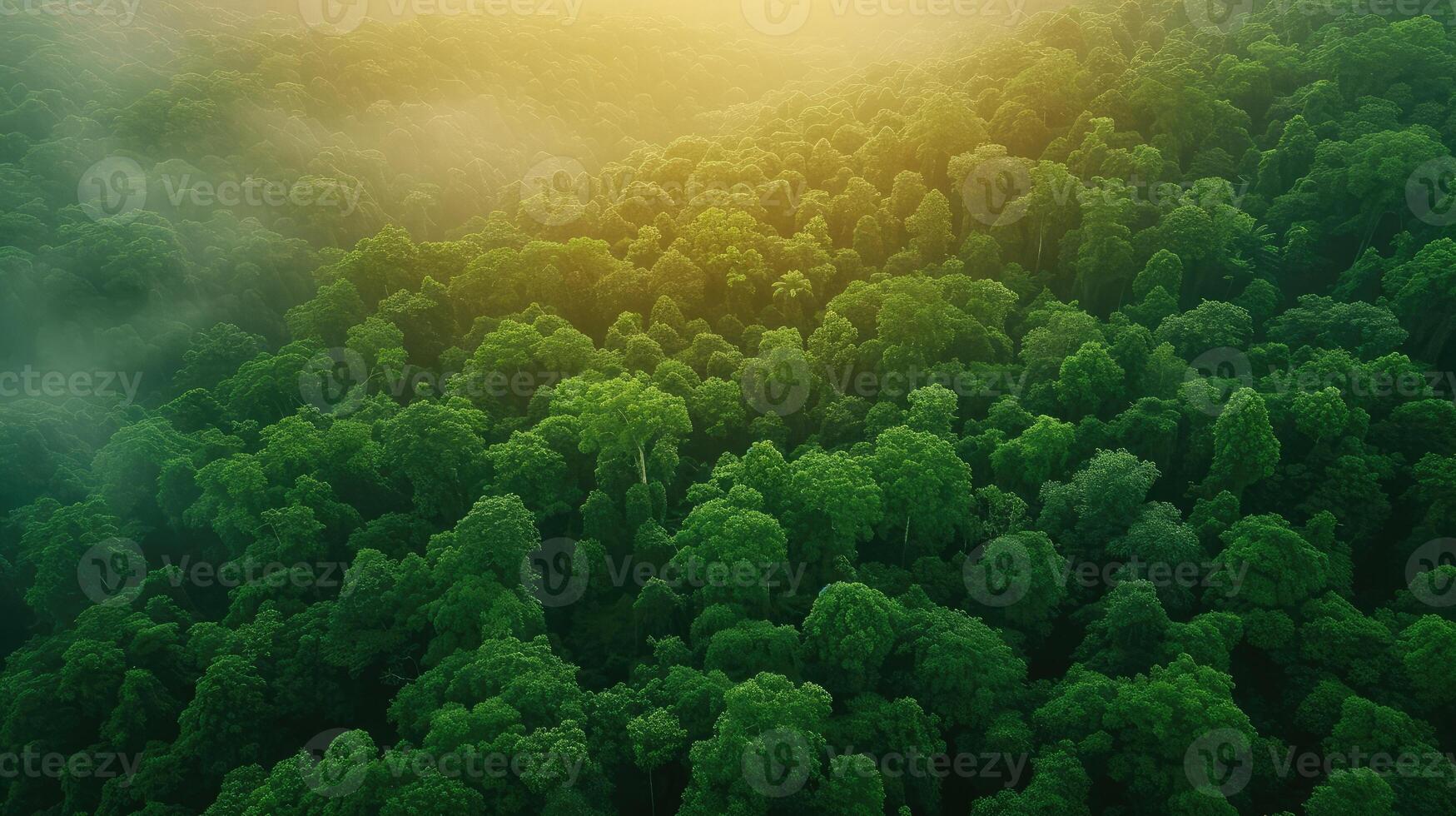 AI generated Aerial top view forest tree, Rainforest ecosystem and healthy environment concept background, Texture of green tree forest view from above, Beautiful sunrise over the mountains photo