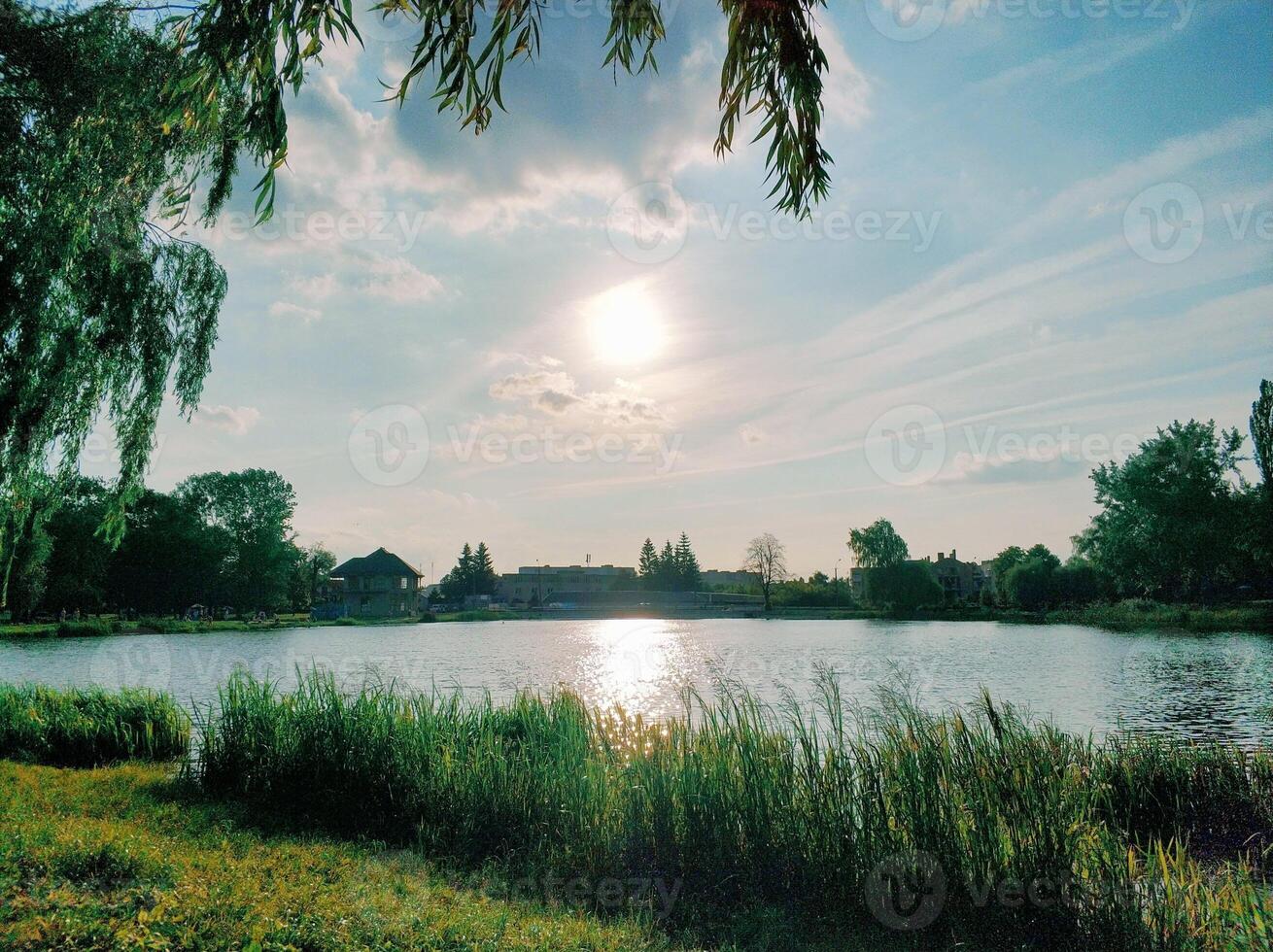 Lake on a bright summer sunny day photo