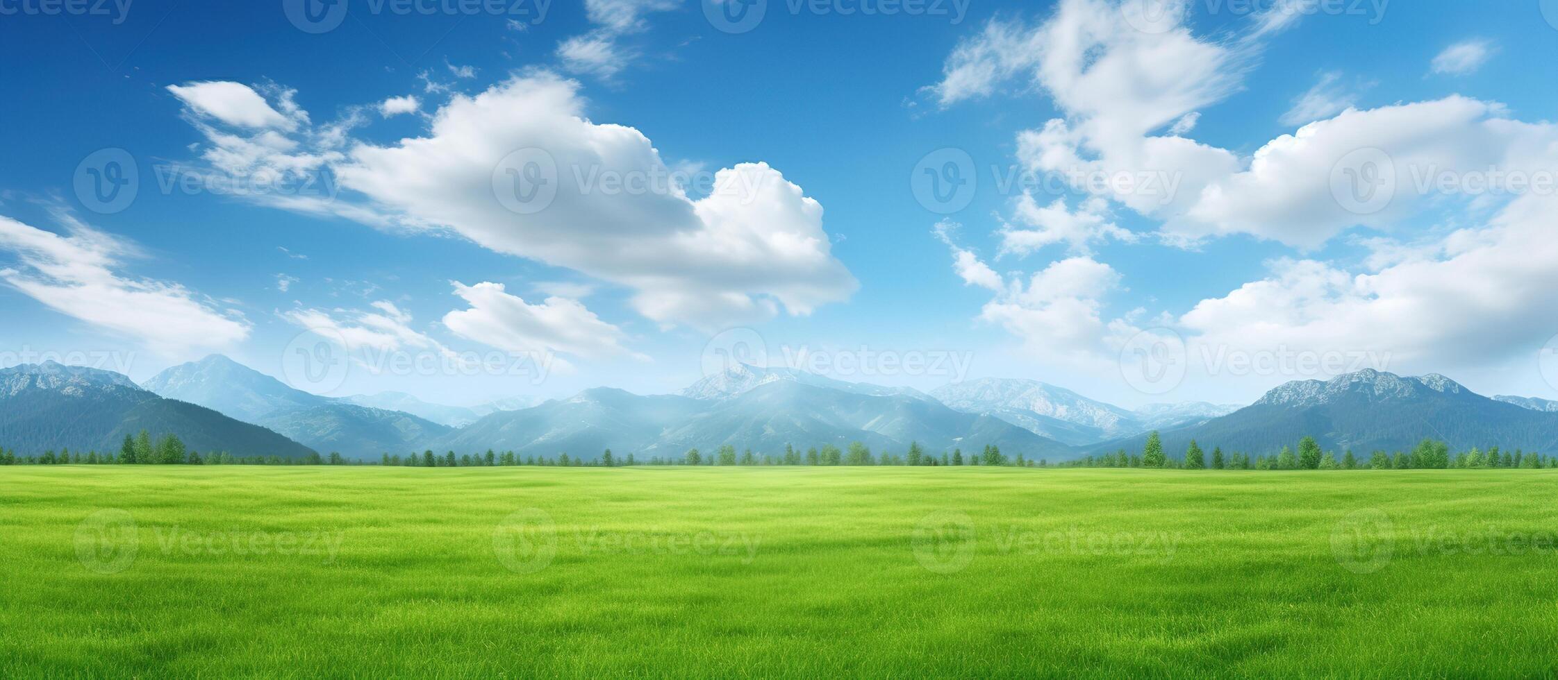Green meadow and mountains in the background. Landscape with blue sky. photo
