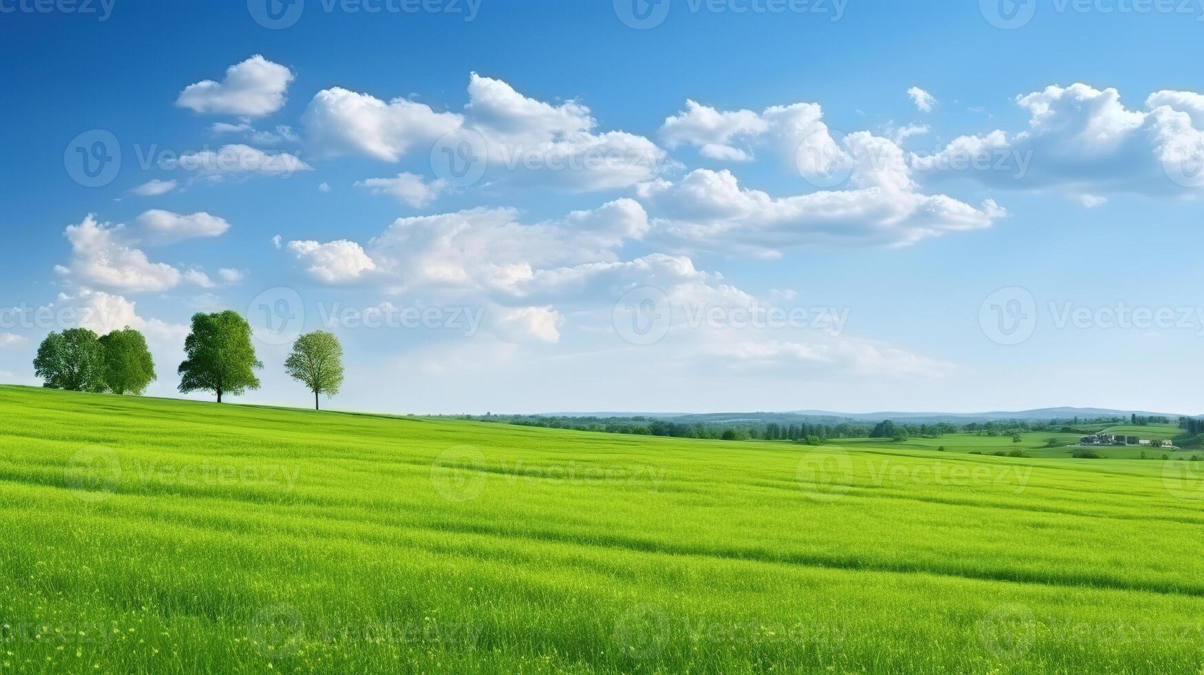 Beautiful spring landscape with green meadow and trees on blue sky photo